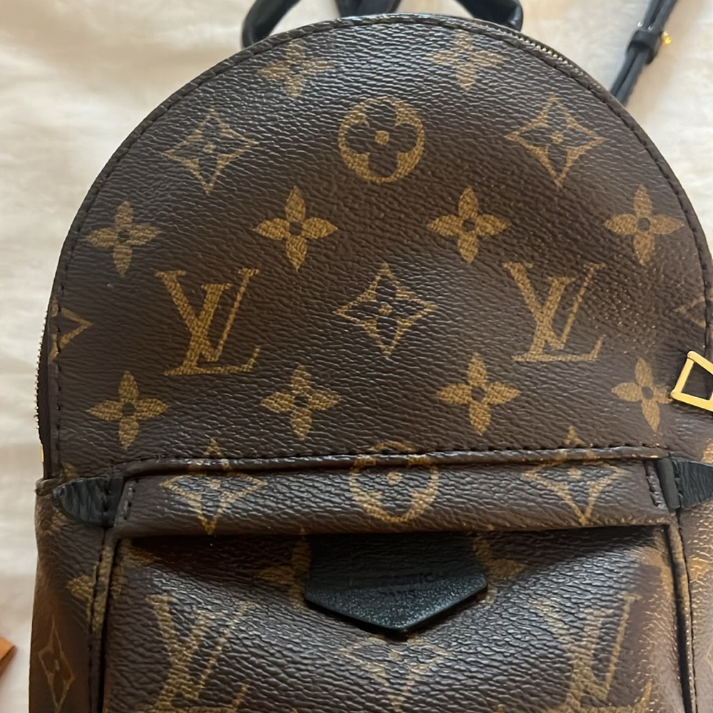Louis Vuitton Palm Springs Mini Backpack - Picture 10 of 10